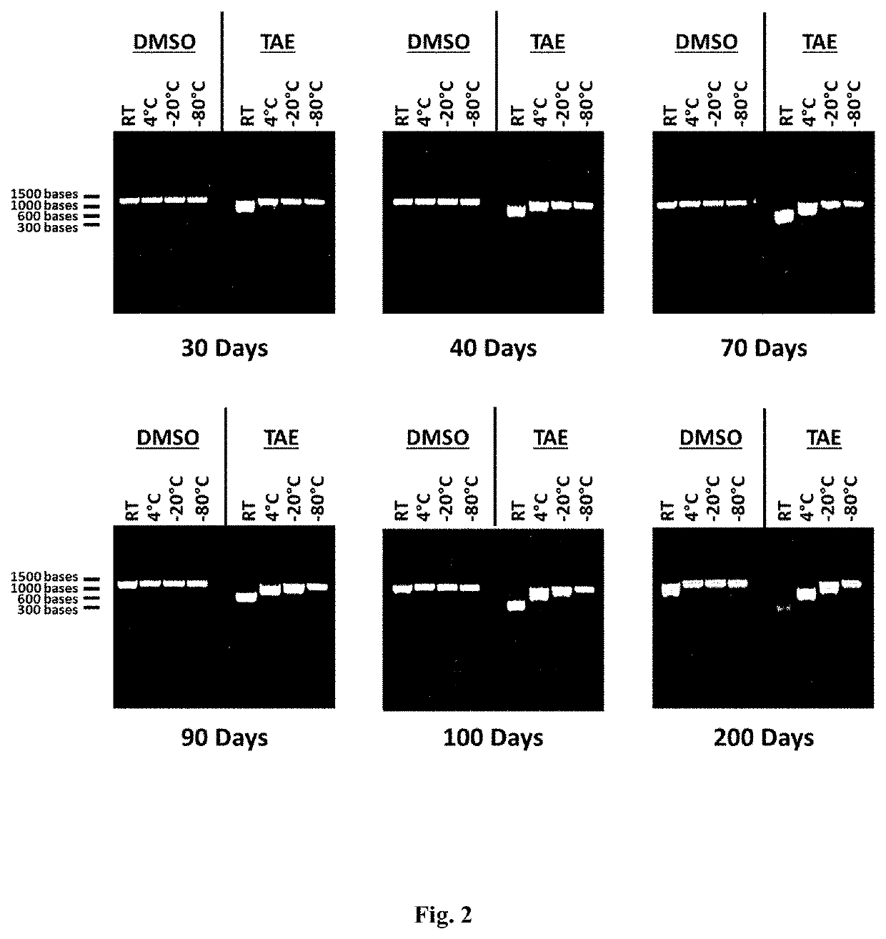 RNA stabilization