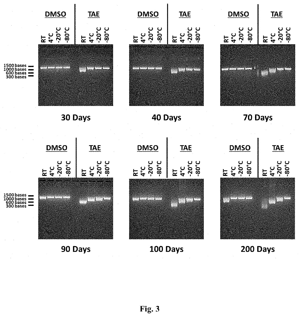 RNA stabilization