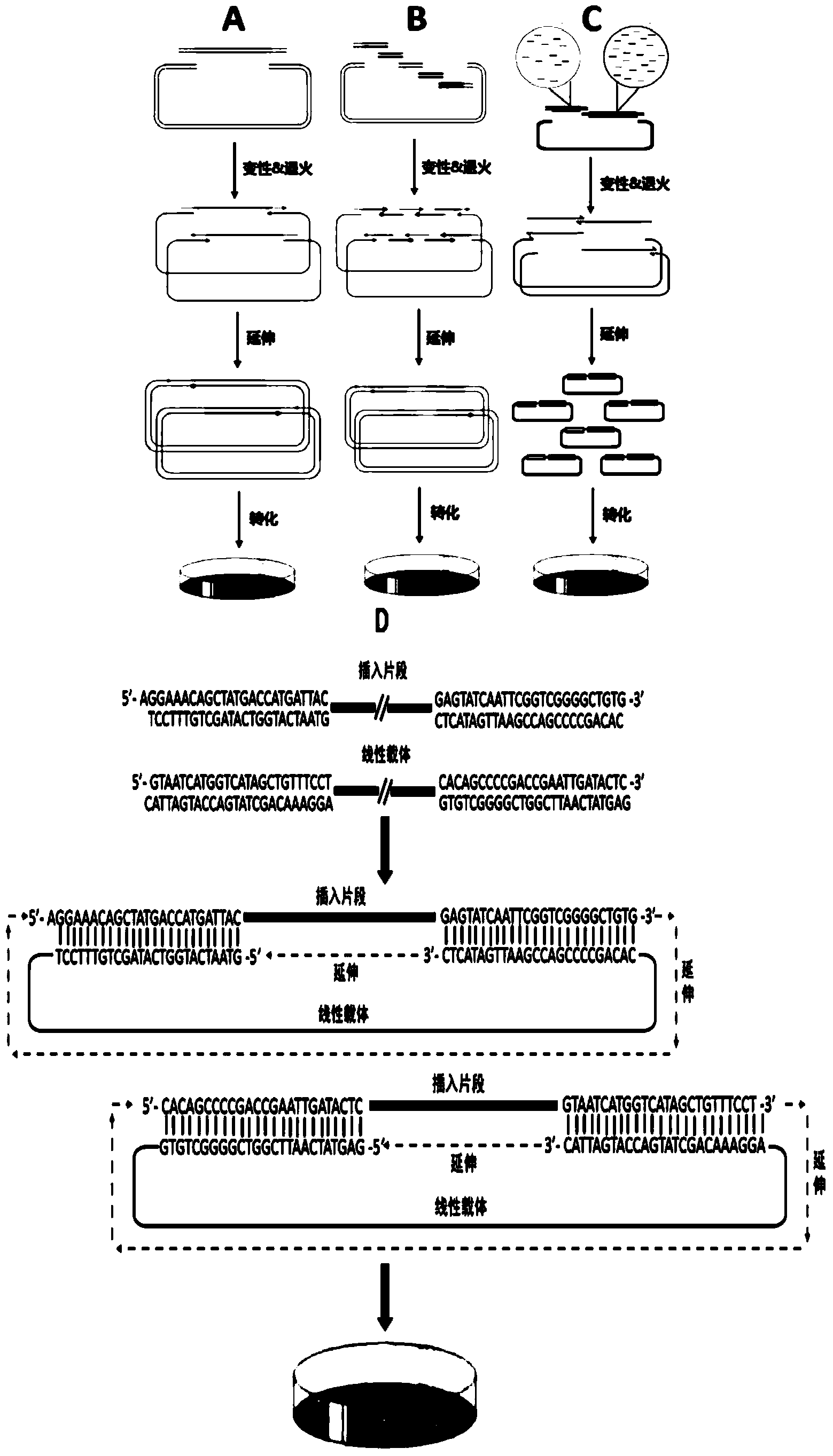 DNA assembly and cloning method