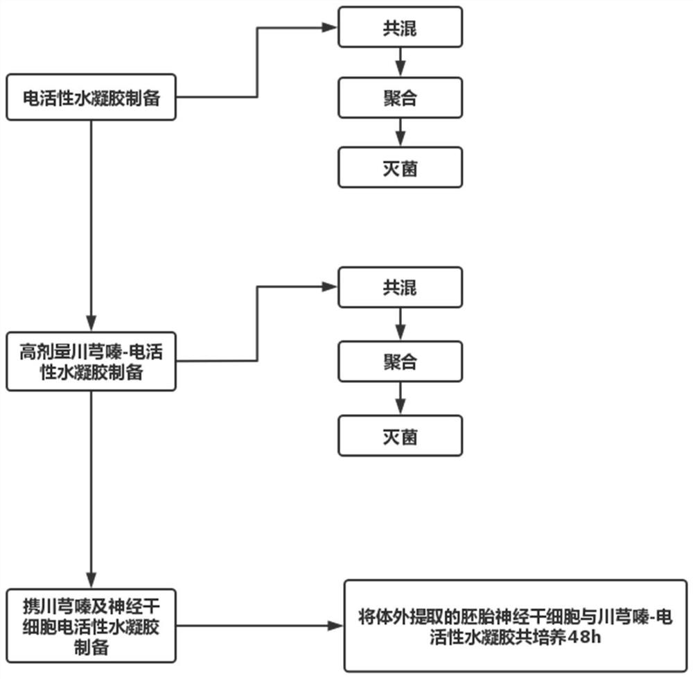 Preparation method of conductive tissue engineering material carrying traditional Chinese medicine monomer and neural stem cells for treating spinal cord injury