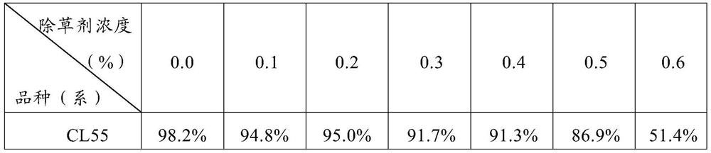 A method for breeding japonica rice resistant to imidazolinone herbicides