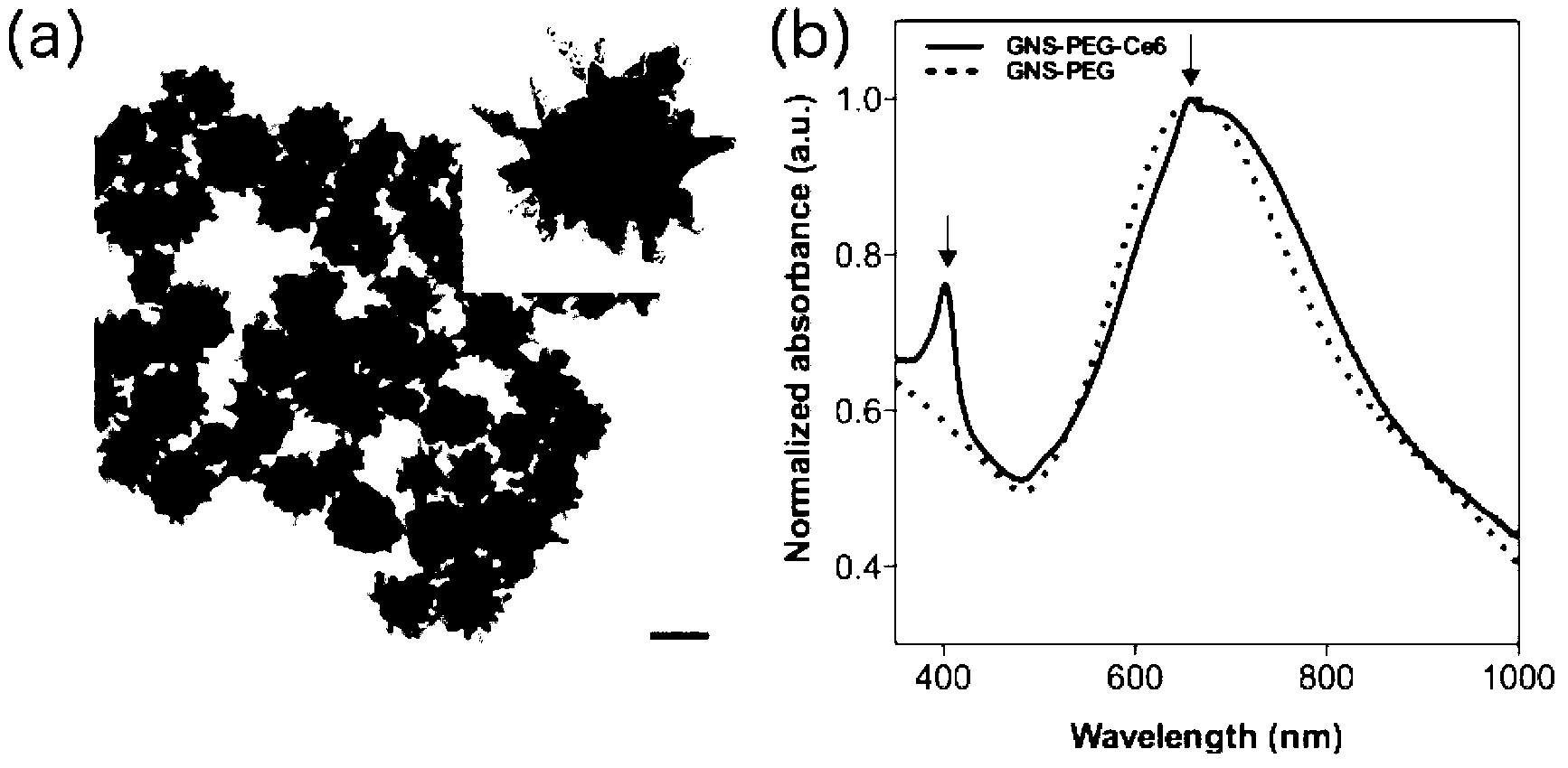 Gold nanocomposite particle having plasma photothermal/photodynamic therapy performance, and preparation method thereof