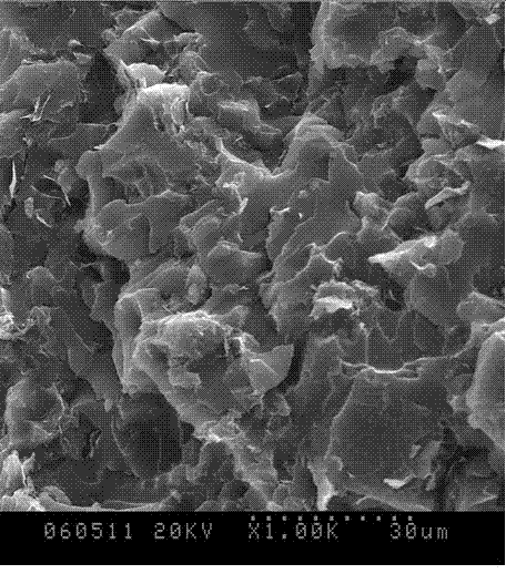 Preparation method of expanded graphite flake/thermosetting resin composite material