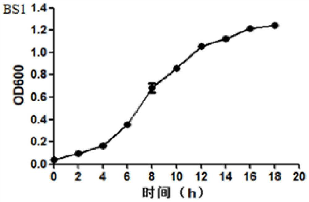A kind of composite bacterial agent based on bacillus subtilis bs1 and its application