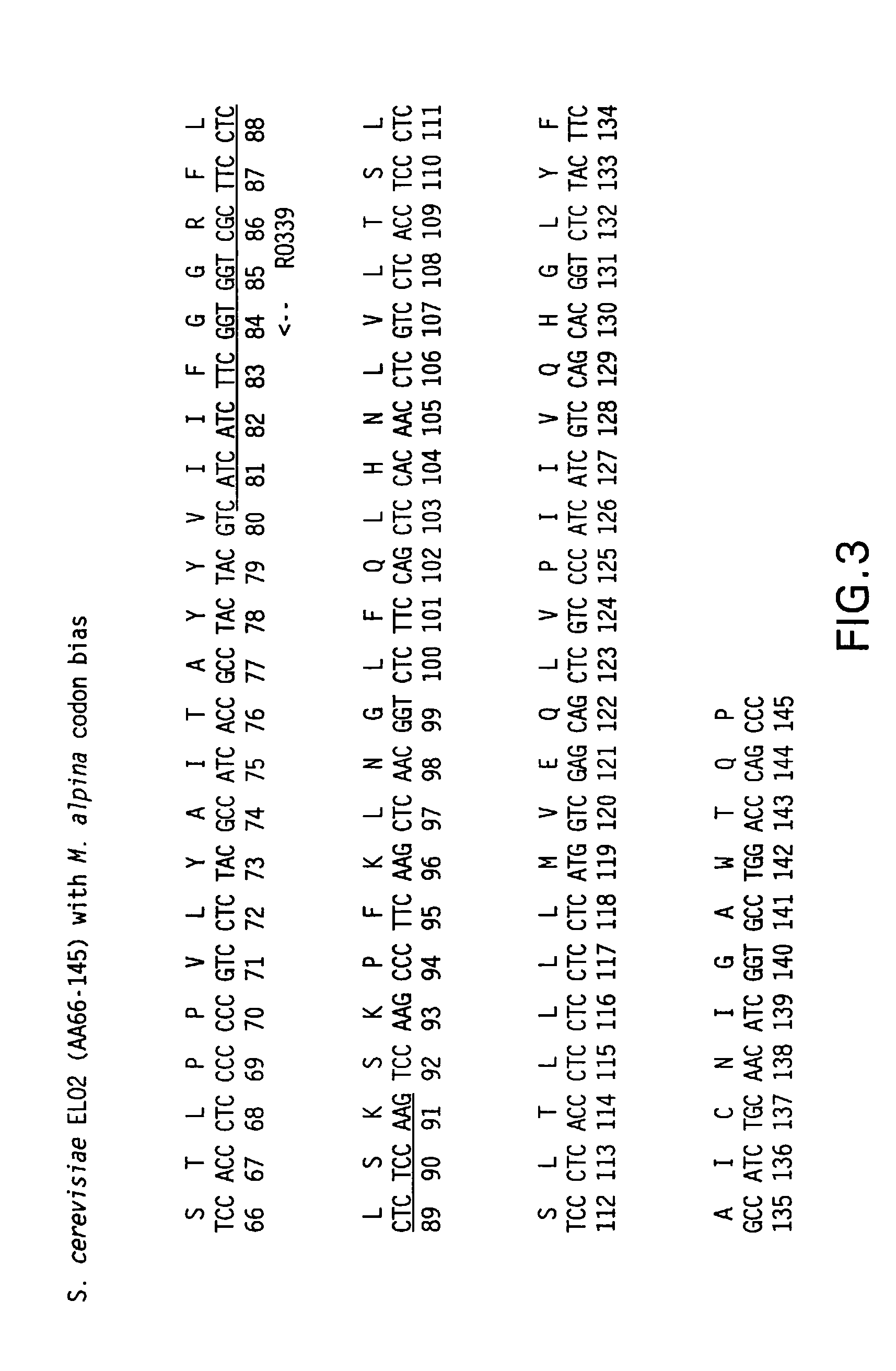 Elongase genes and uses thereof