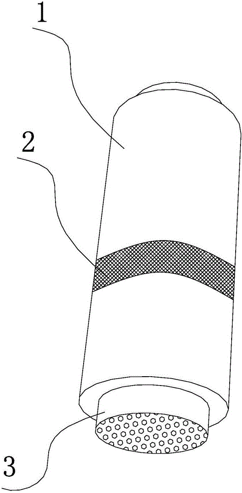 Nondestructive testing structure for submarine pipe in tidal range zone, processing method and testing method