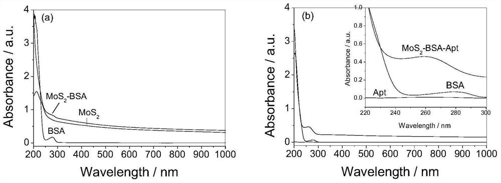 A nucleic acid aptamer-modified molybdenum disulfide nanosheet photothermal agent with targeted recognition