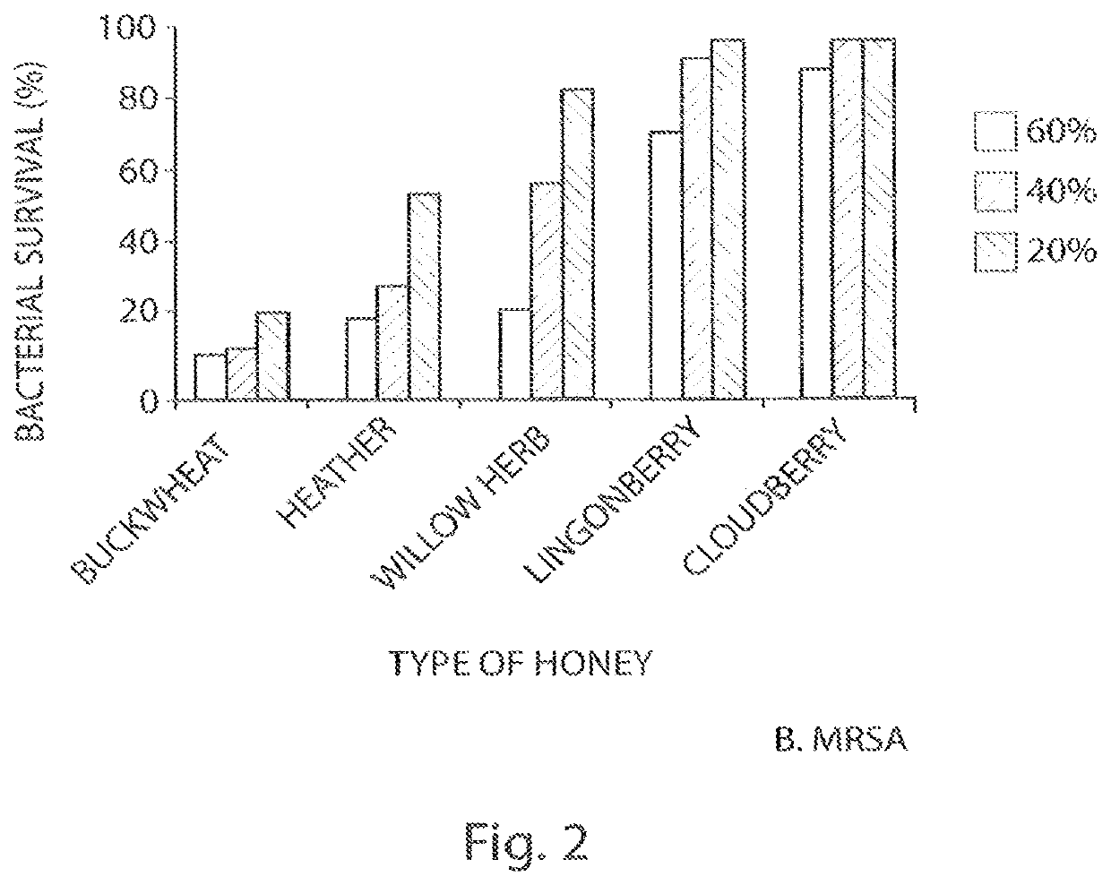 Buckwheat honey and bacitracin wound-healing dressing