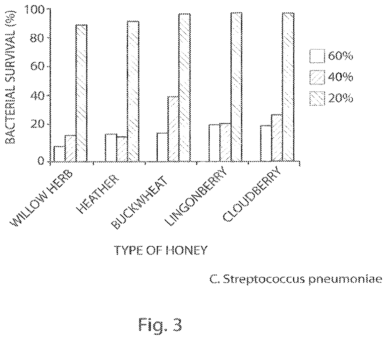 Buckwheat honey and bacitracin wound-healing dressing