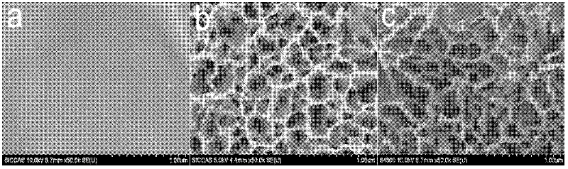 Surface modifying method for improving antibacterial property and biological activity of medicinal titanium