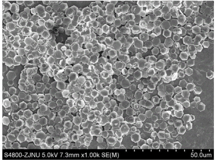 Monodispersed nano-sheet and/or nano-ring as well as preparation and application thereof