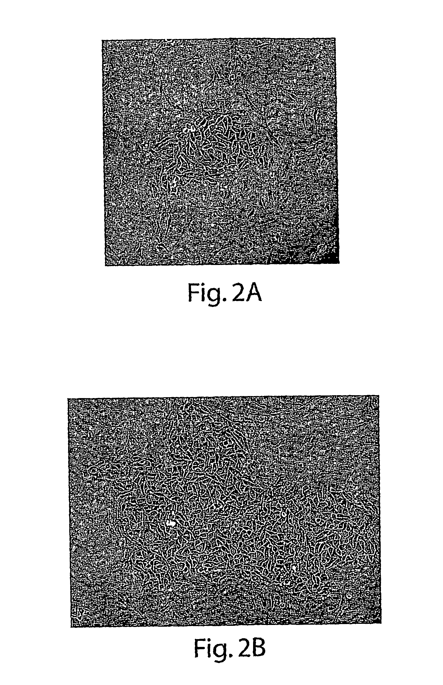 Methods for Culturing Keratinocytes from Human Embryonic Stem Cells