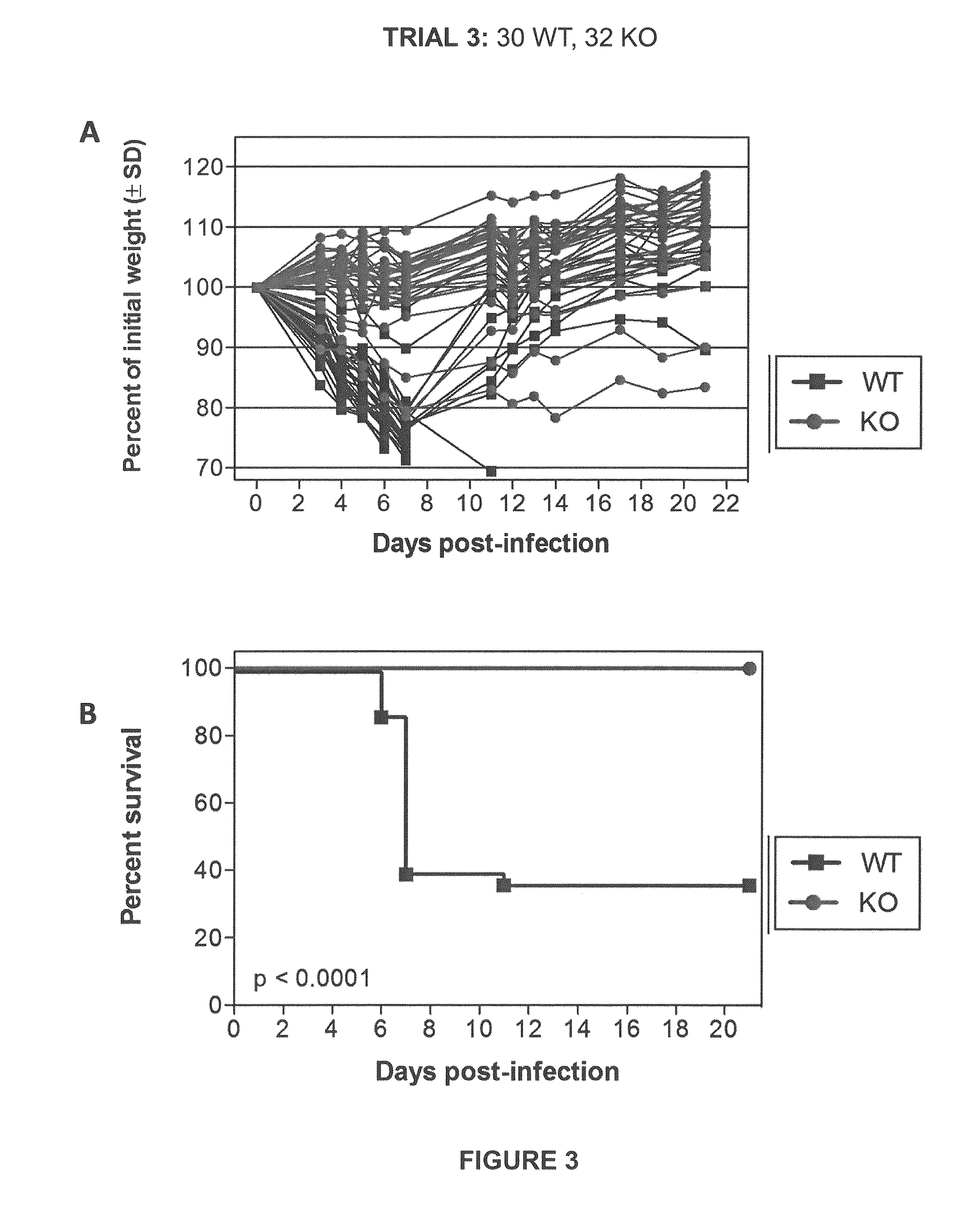 Methods for treating or preventing influenza virus infection by administering a serine protease inhibitor