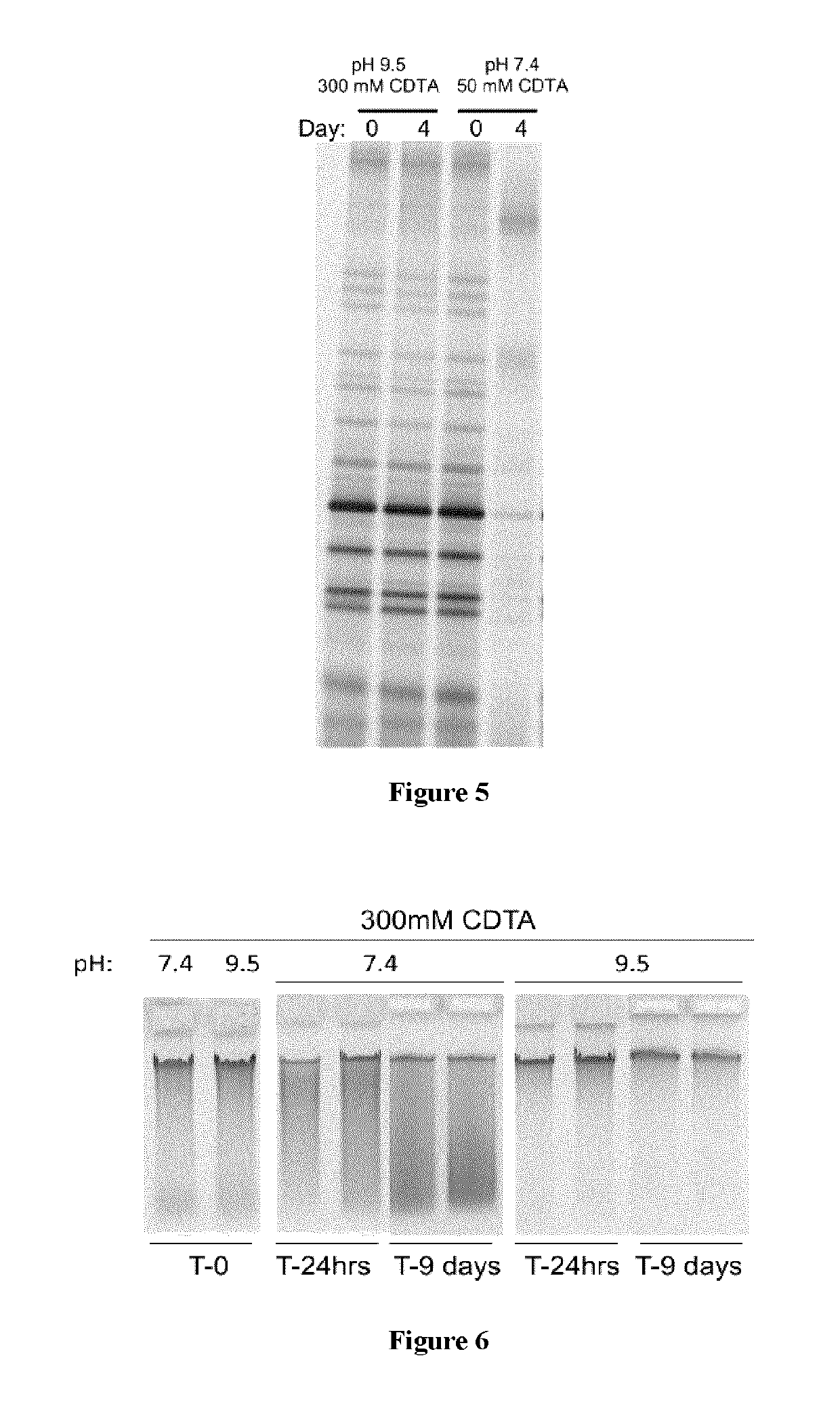 Composition and method for stabilizing nucleic acids in biological samples