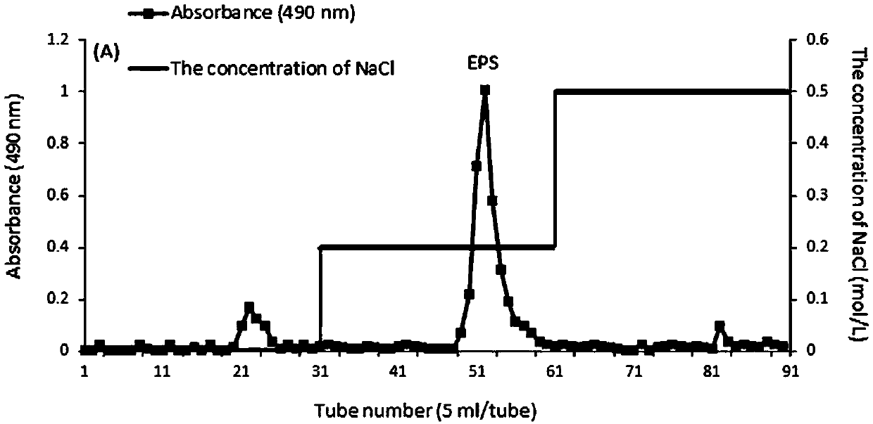 Exopolysaccharide and application thereof