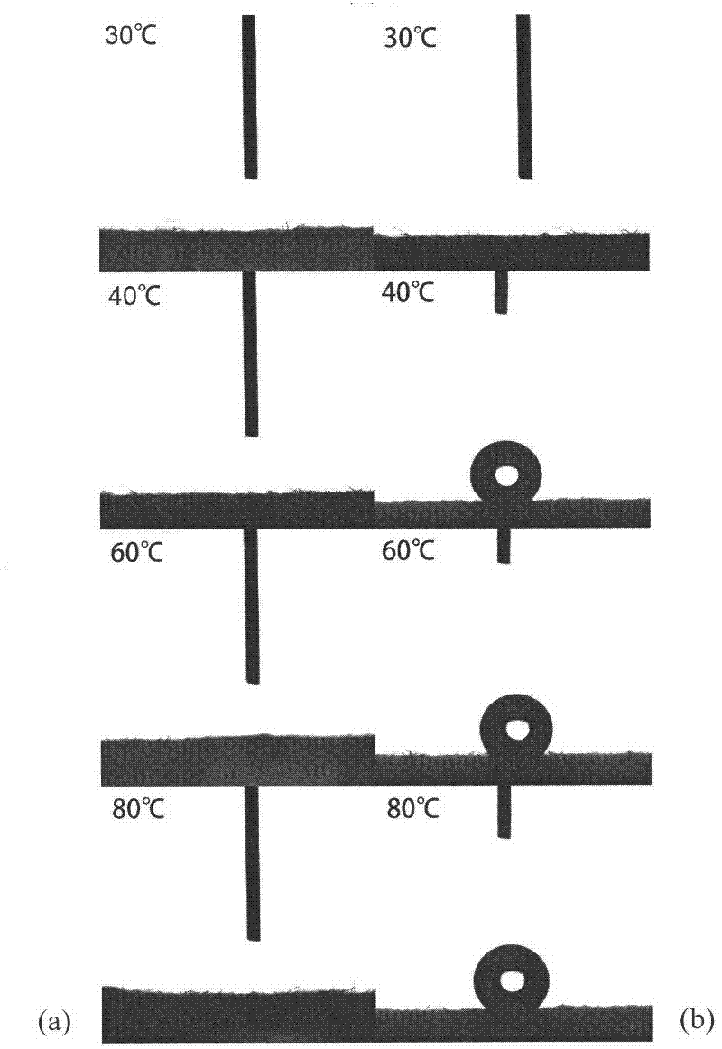 Anti-scald textile and preparation method thereof