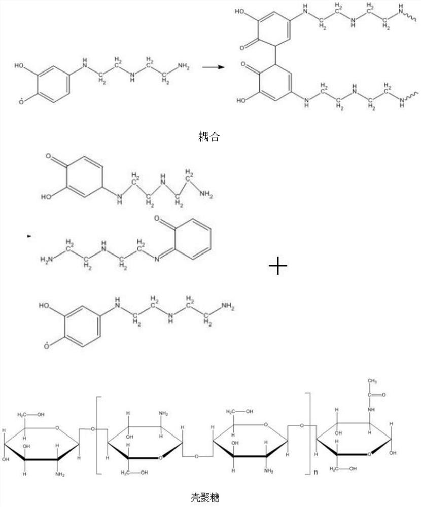 Adhesive for corrugated cardboard explosion-proof line and preparation method thereof