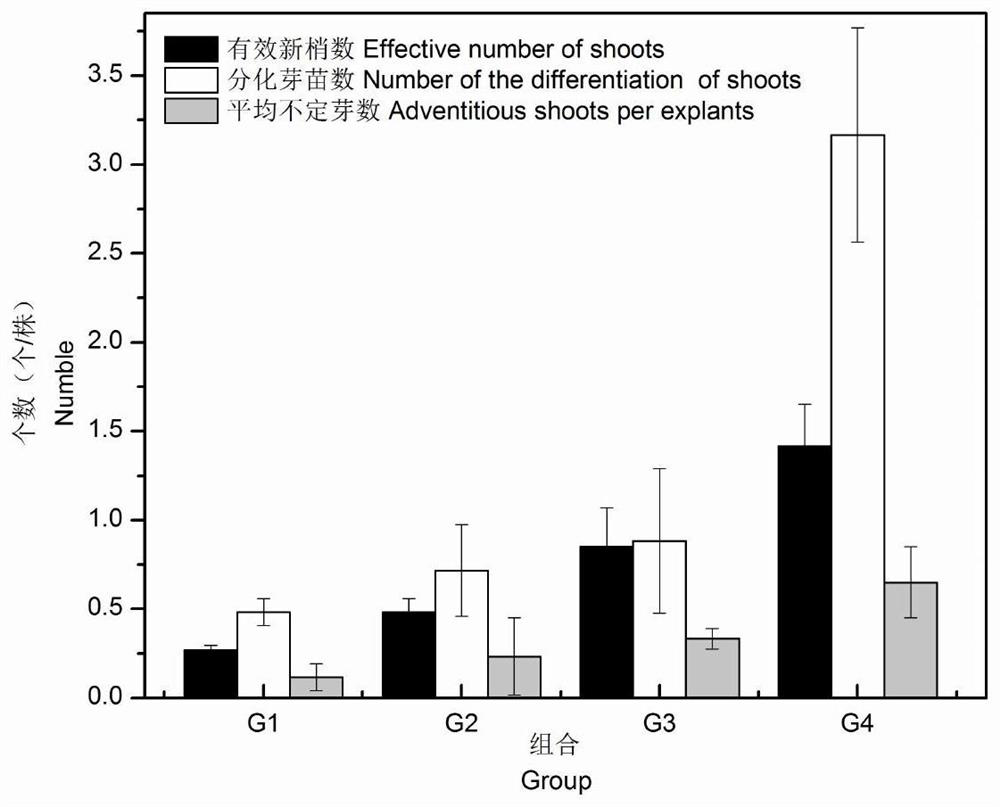 A method for establishing a moon persimmon in vitro regeneration system