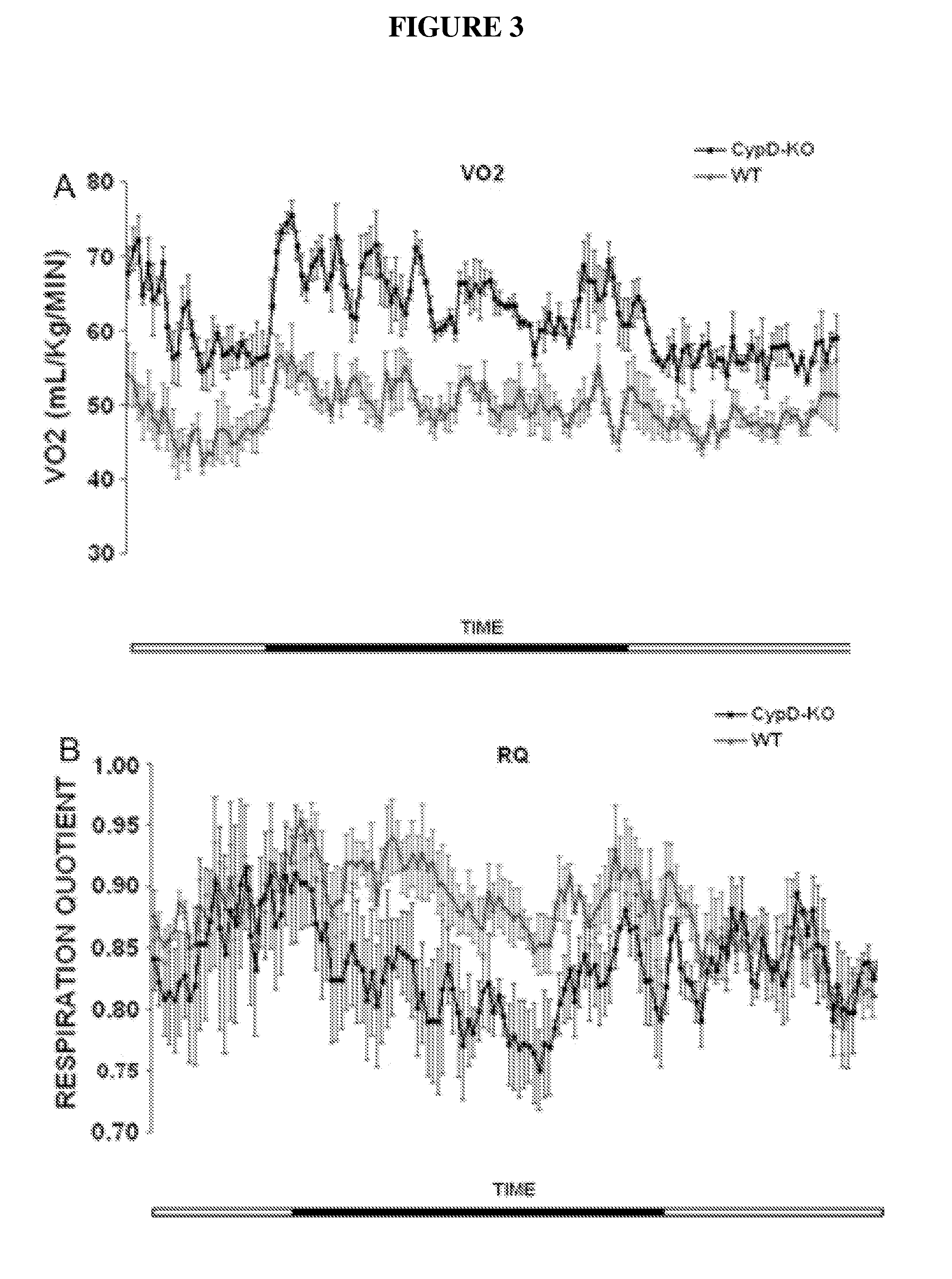 Methods and compositions for inhibiting cyclophilin d for the treatment and prevention of obesity and kidney indications