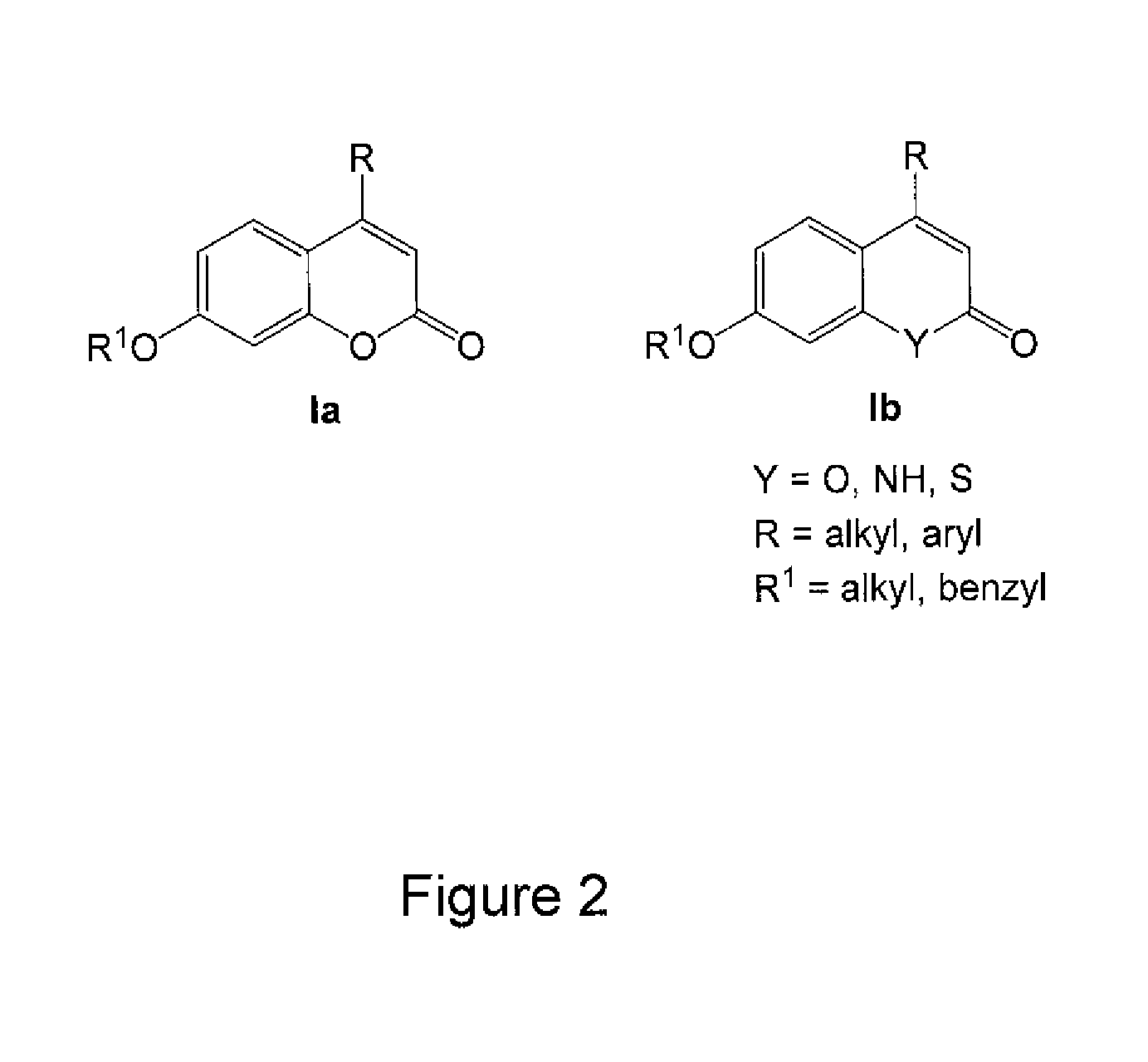 Inhibitors of plasmodium falciparum equilibrative nucleoside transporter type i as Anti-parasitic compounds