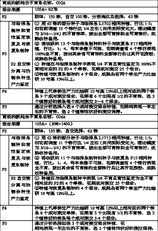 Selection breeding method of new homozygous sterile line of brassica napus