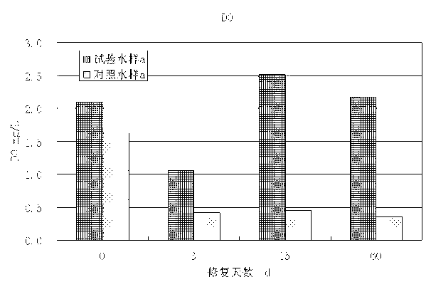 Contaminated water body bottom mud reoxygenation type repairing agent, preparation method and applications thereof