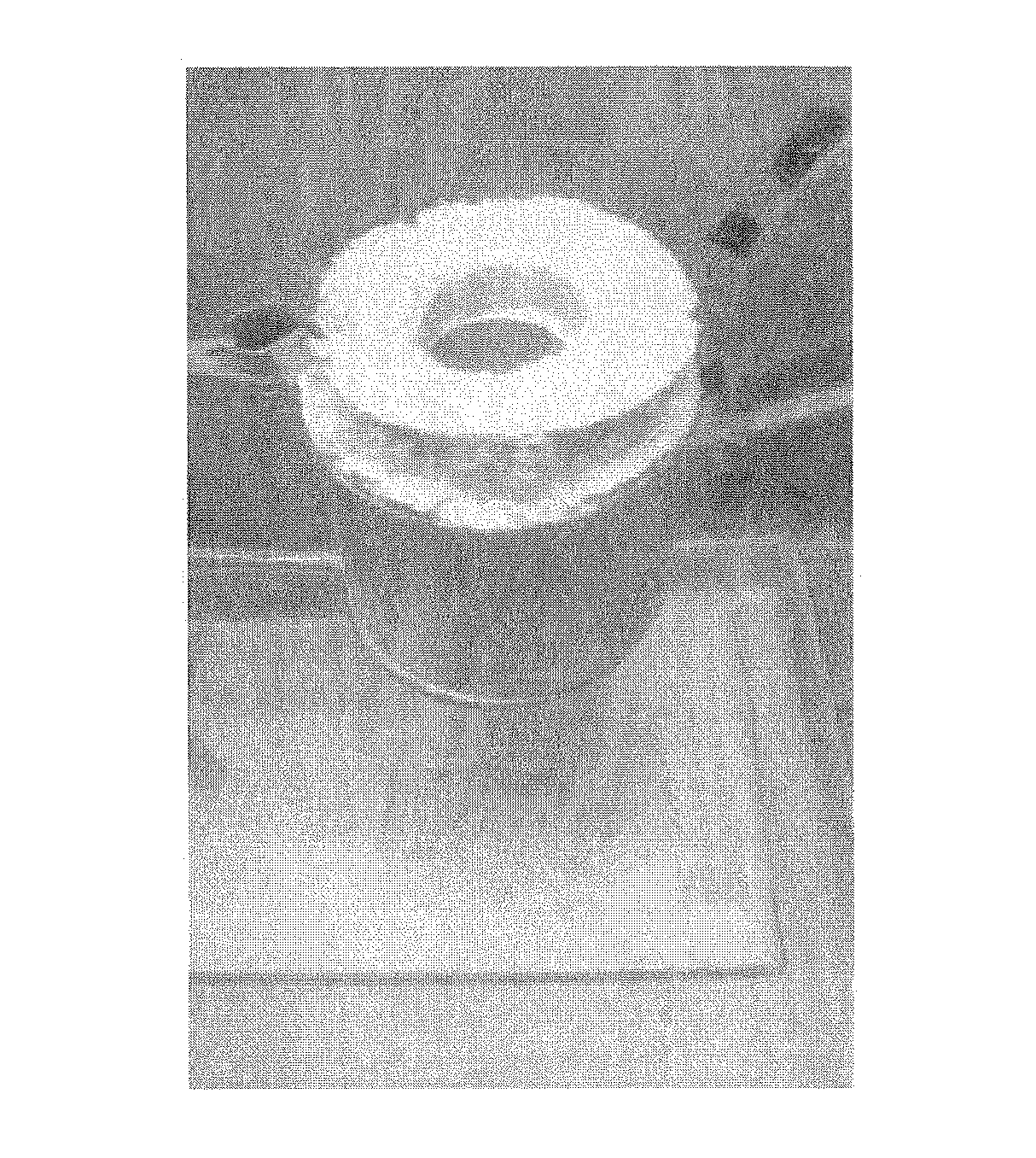 Method for treating a cladding containing sintered calcium hydride