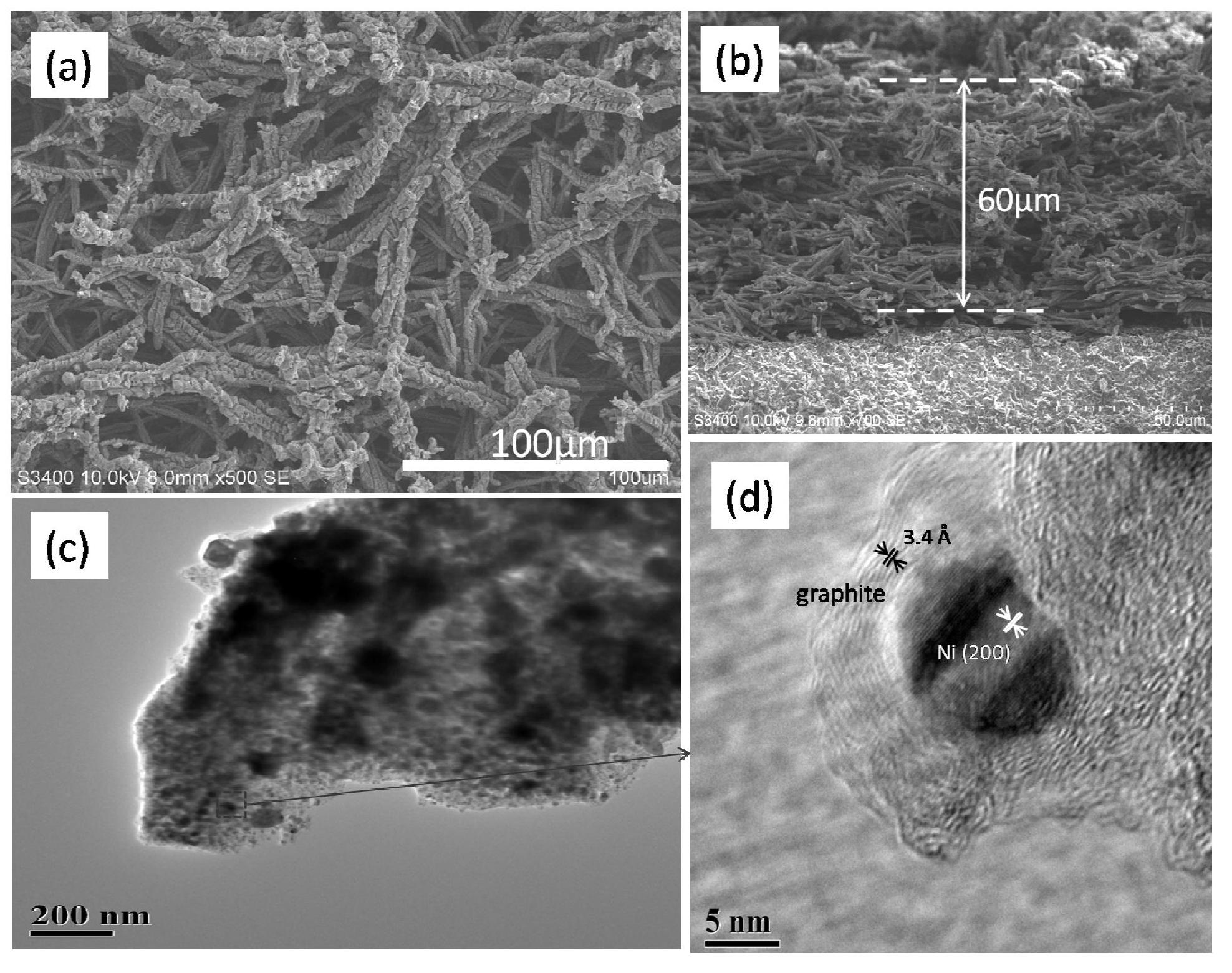 Metal/carbon nano composite porous membrane and preparation method thereof