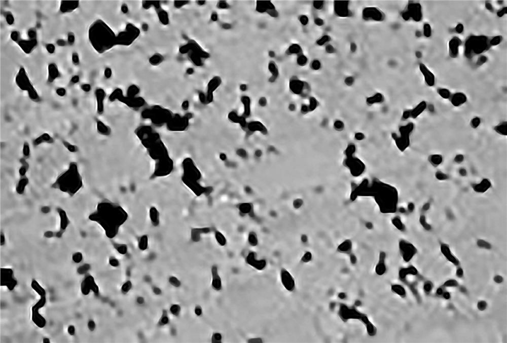 3D printing three-dimensional network structure graphite/metal composite material and its preparation method by atmospheric pressure casting