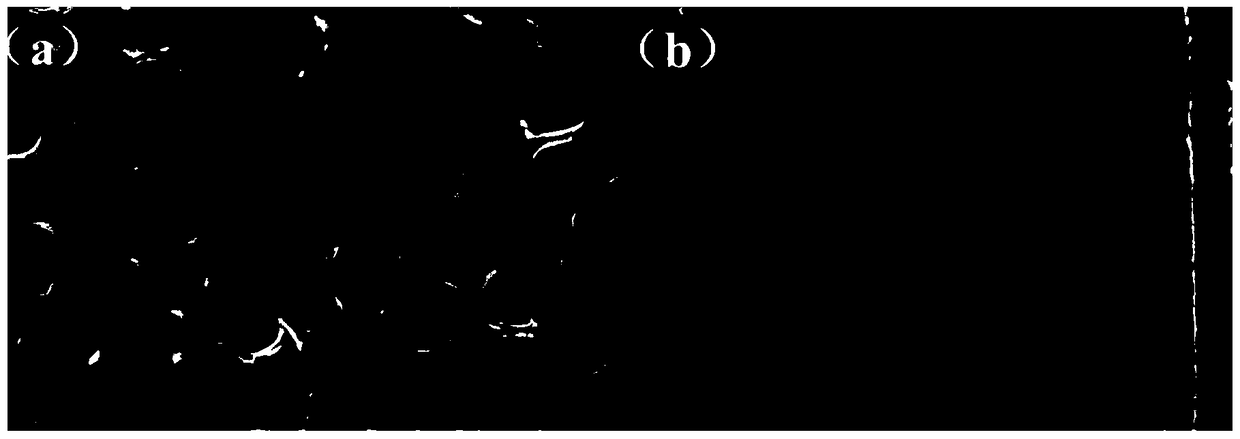 Preparation method of nickel-cobalt oxide electrode material supported by titanium dioxide nanotube array