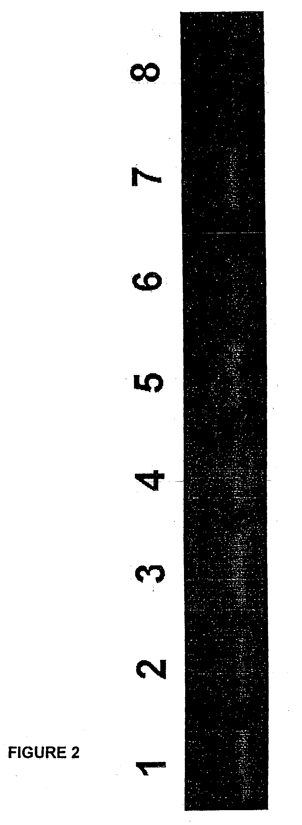 Method for the detection of gene transcripts in blood and uses thereof