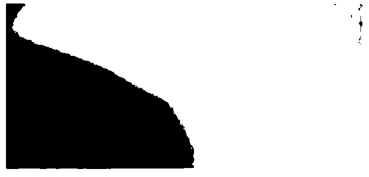 All-weather solar evaporative water purifier and preparation method and application thereof