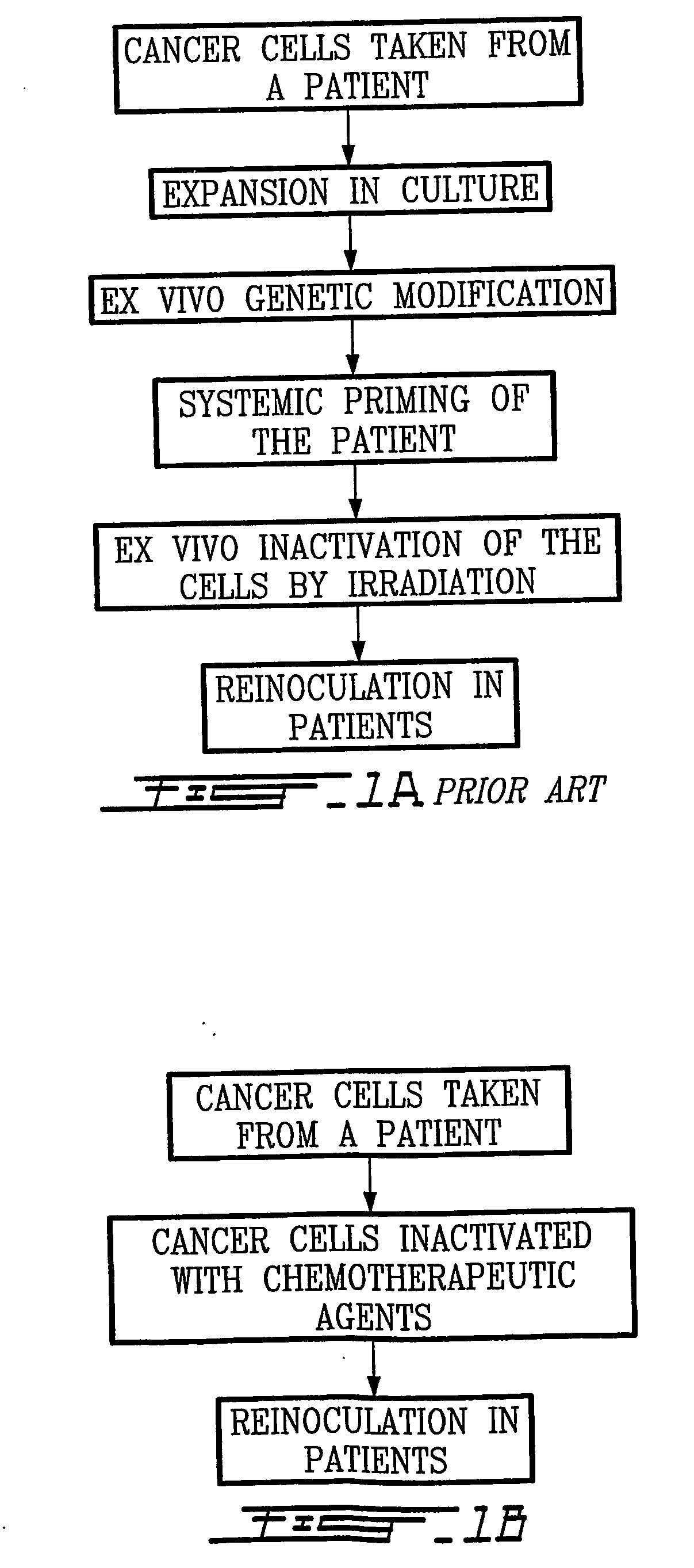 Chemotherapeutic agents as anti-cancer vaccine adjuvants and therapeutic methods thereof