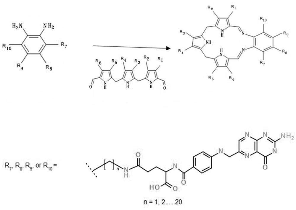 Texaphyrin-folic acid conjugate as well as preparation method and application thereof