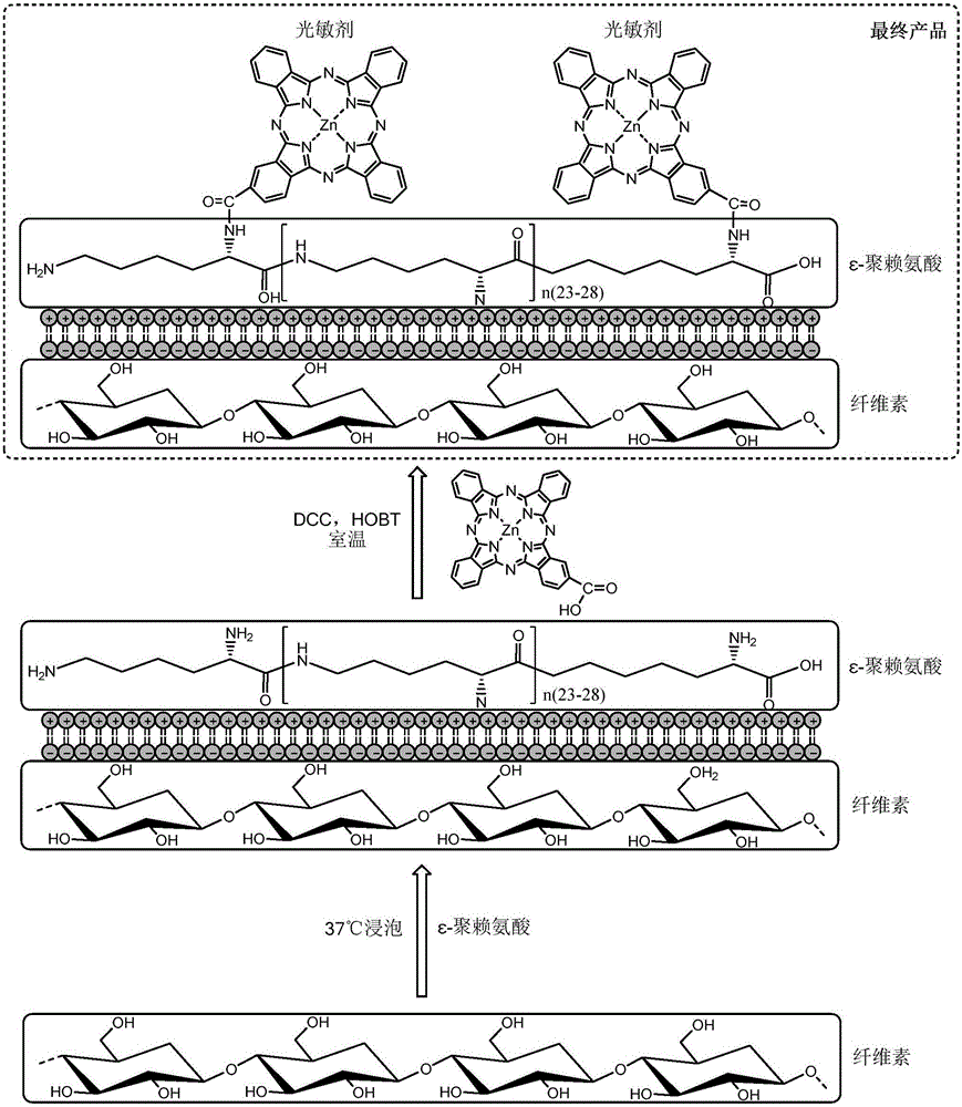 Photodynamic antibacterial cellulose material and preparation method thereof