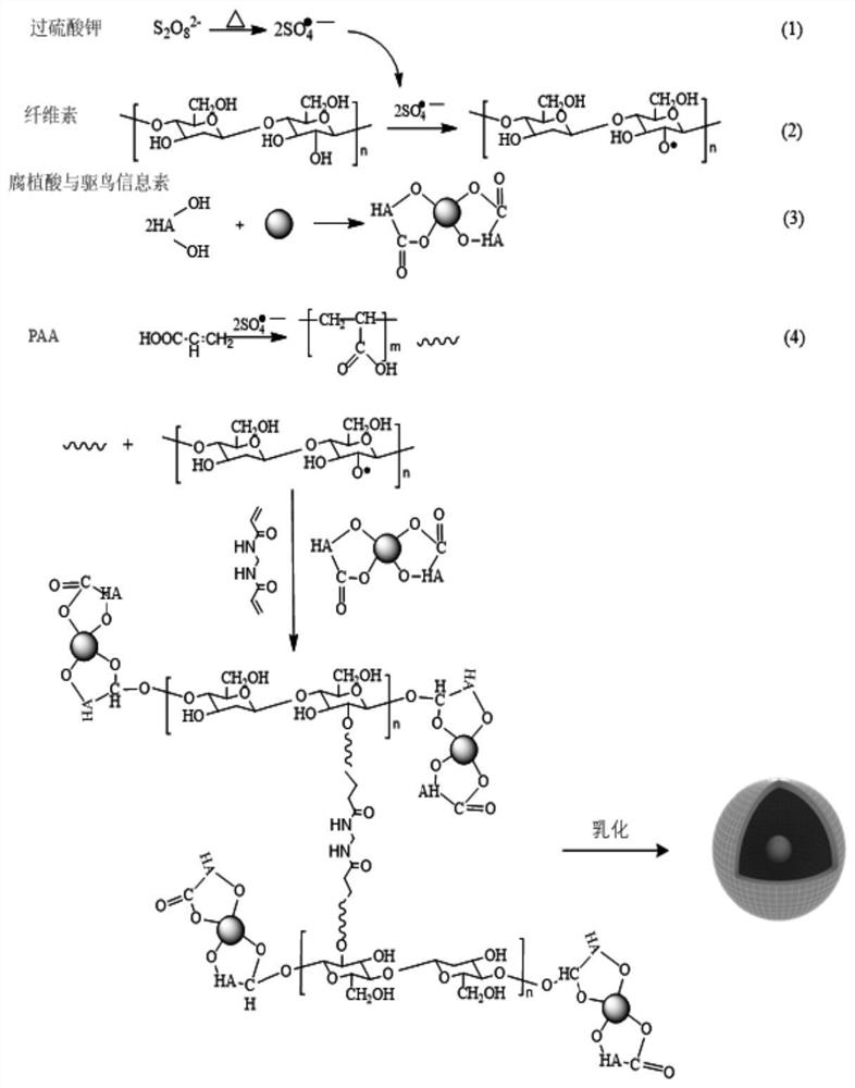 A kind of humic acid type bird-repelling pheromone core-shell structure gel and its preparation method