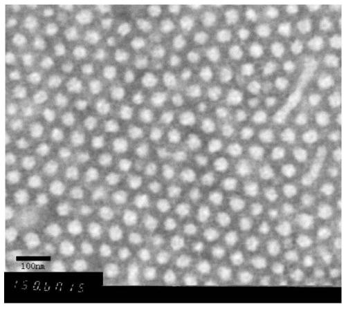 Sodium alginate-chitosan dressing loaded with tetrahydrocurcumin nanoparticles and preparation method thereof