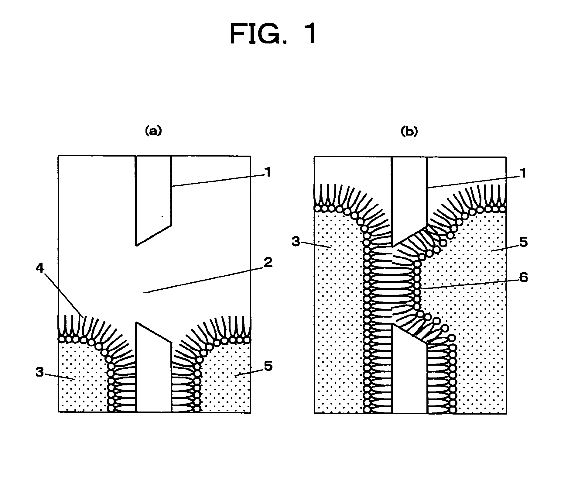 Method of forming planar lipid double membrane for membrane protein analysis and apparatus therefor
