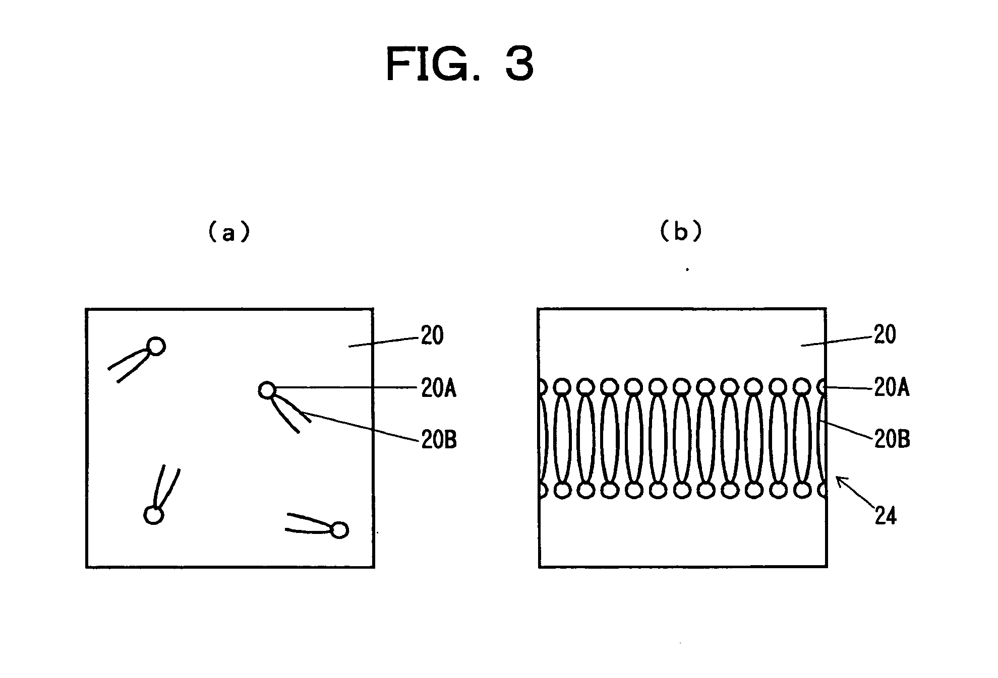Method of forming planar lipid double membrane for membrane protein analysis and apparatus therefor