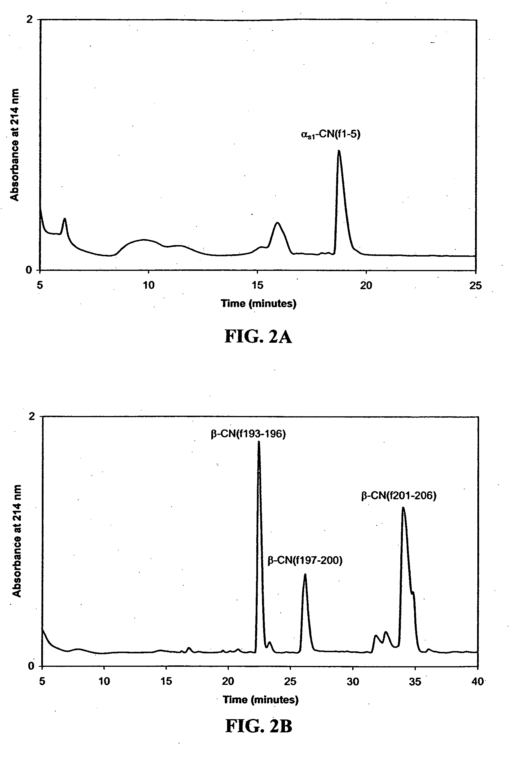 Methods and compositions involving endopeptidases PepO2 and PepO3