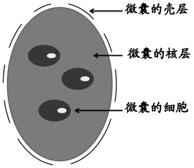 A method of preparing a composite structure