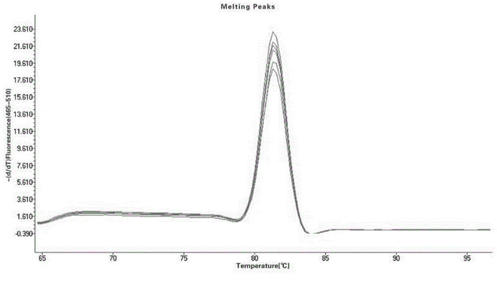 Haemophilus paragallinarum fluorogenic quantitative PCR detection method