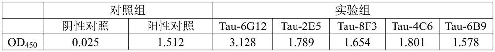 Phosphorylated Tau pT217 protein monoclonal antibody, ELISA kit and application of phosphorylated Tau pT217 protein monoclonal antibody