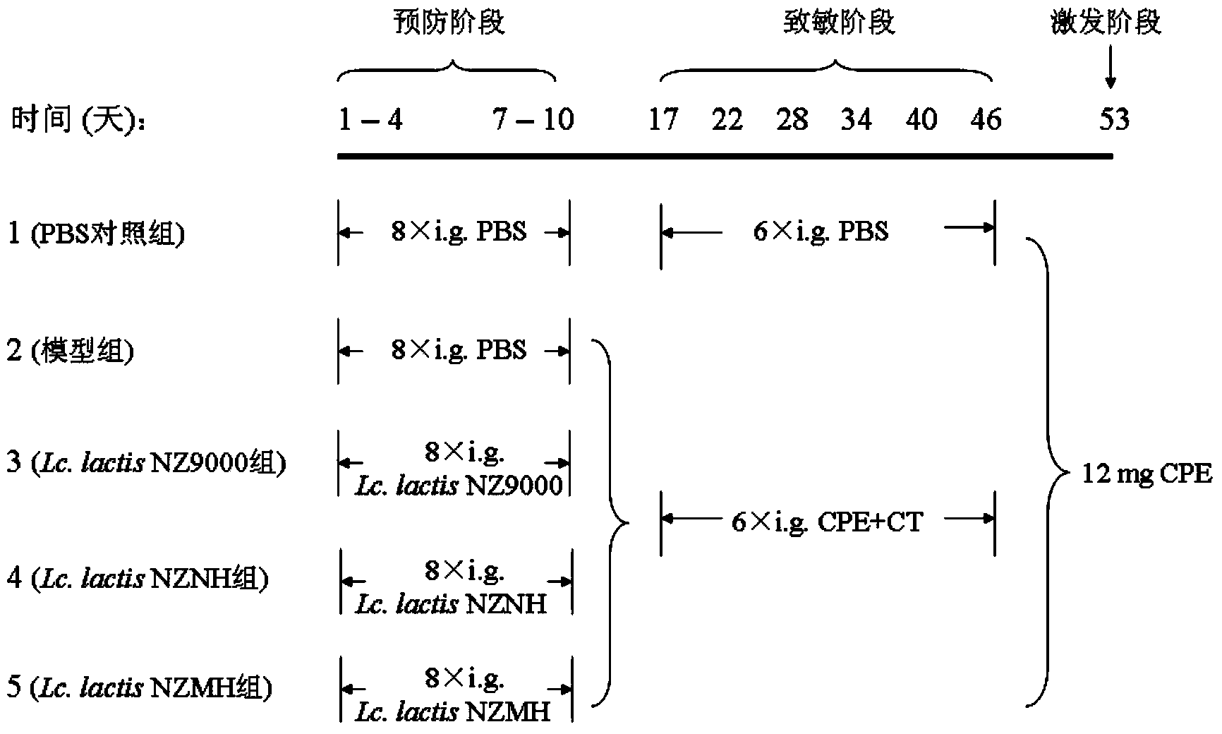 Lactococcus lactis recombinant bacteria for expressing hypoallergenic peanut allergen, and application thereof