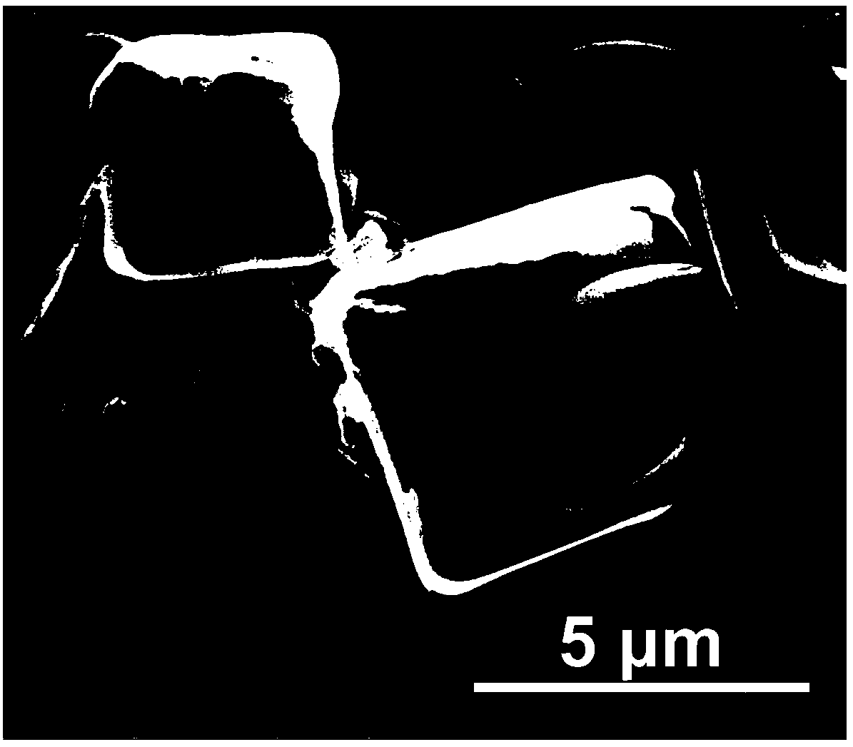 preparation-method-and-use-of-pitch-based-carbon-nanosheet-eureka