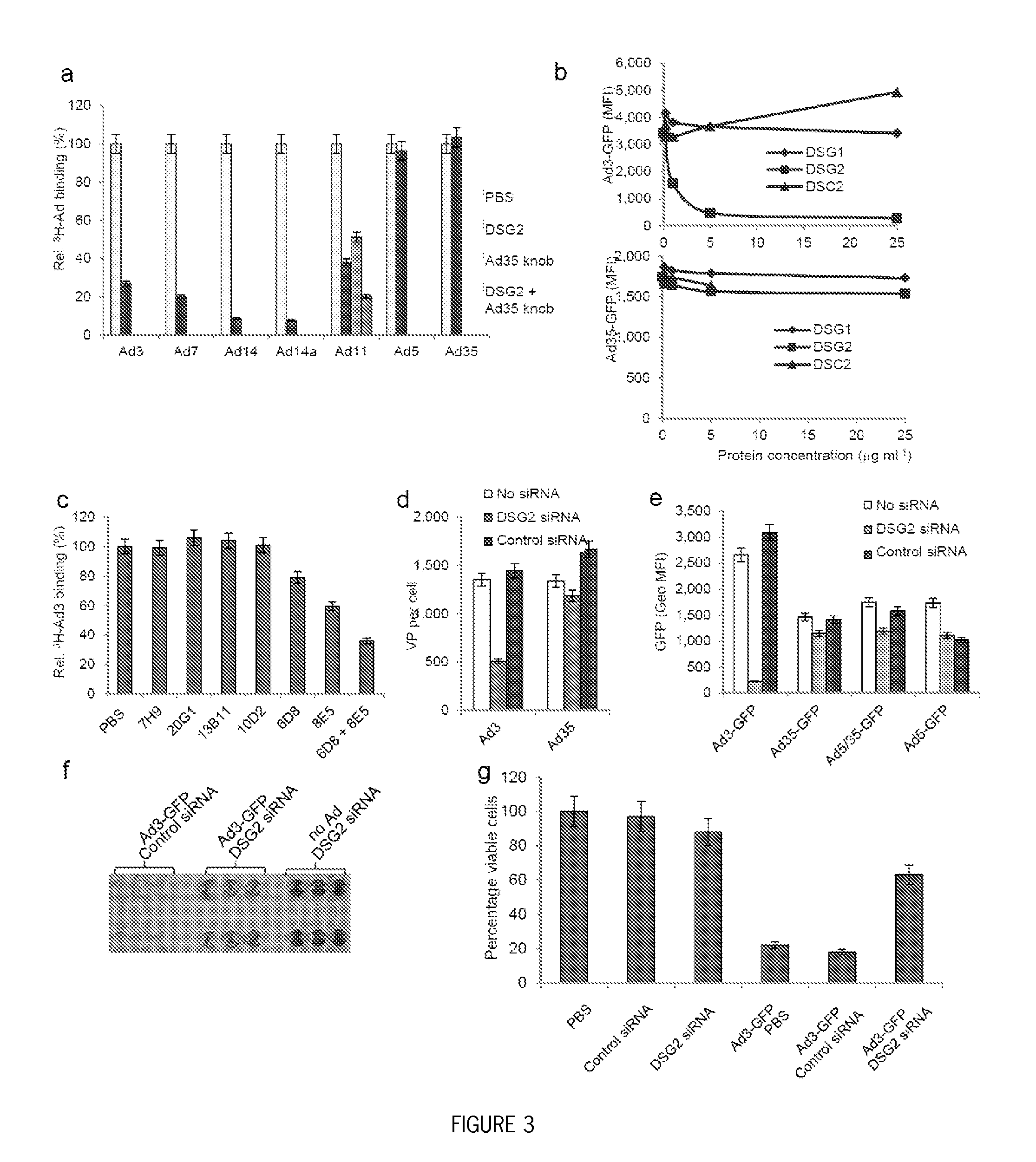 Methods and systems for adenovirus interaction with desmoglein 2 (DSG2)