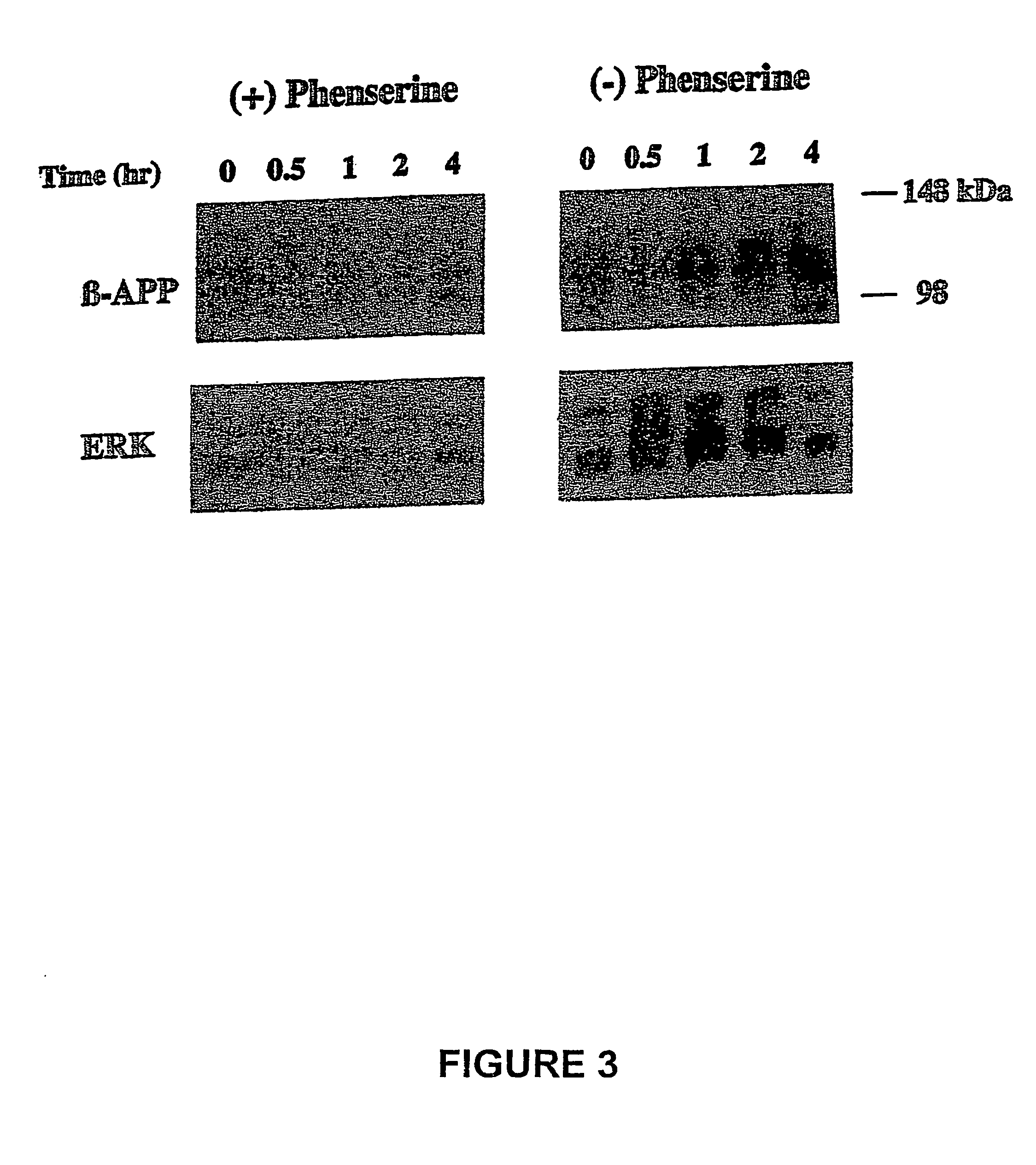 Agents useful for reducing amyloid precursor protein and treating demantia and methods of use thereof