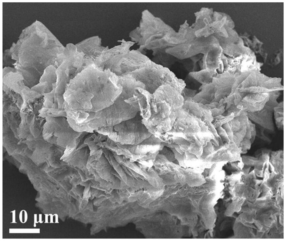 Carbon nitride nanosheet-gold nanoparticle composite material as well as preparation method and application thereof