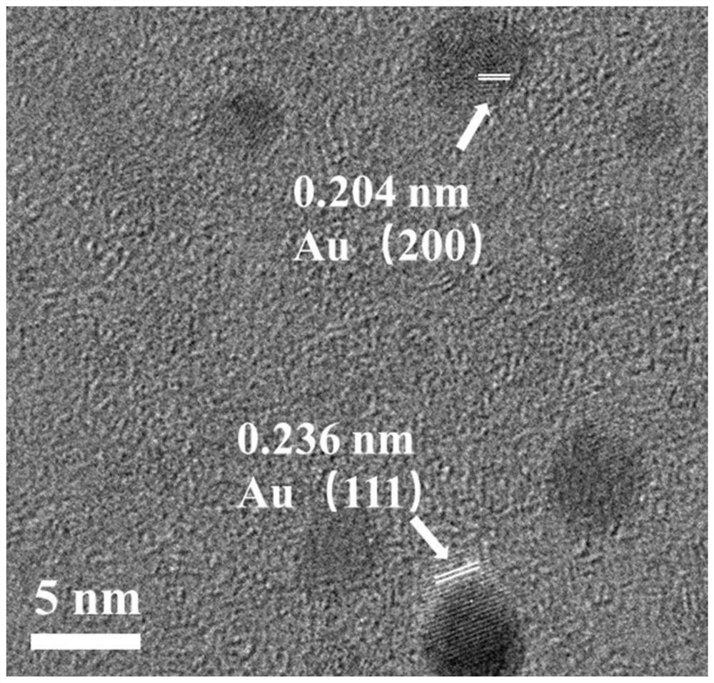 Carbon nitride nanosheet-gold nanoparticle composite material as well as preparation method and application thereof