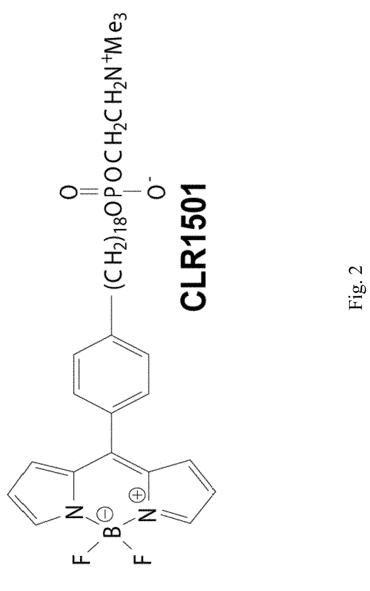 Phospholipid Ether Analogs for Imaging and Targeted Treatment of Pediatric Solid Tumors